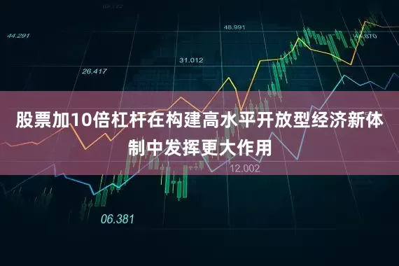 股票加10倍杠杆在构建高水平开放型经济新体制中发挥更大作用