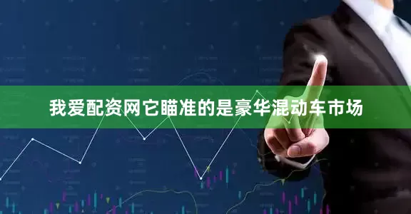 我爱配资网它瞄准的是豪华混动车市场