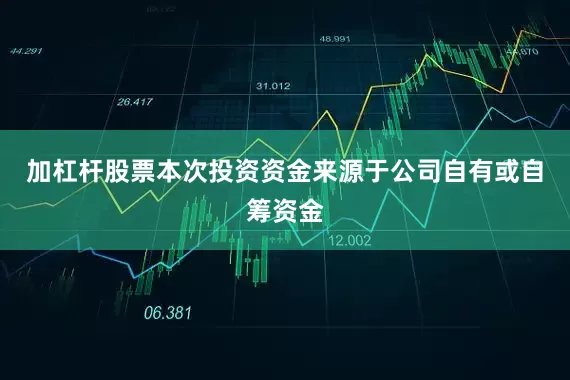 加杠杆股票本次投资资金来源于公司自有或自筹资金